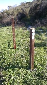 Trail markers