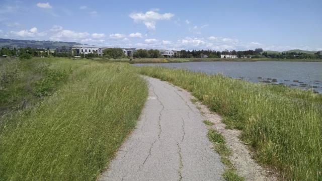 Trail View