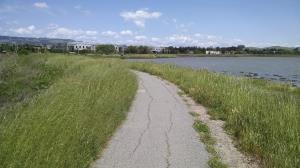 Trail View