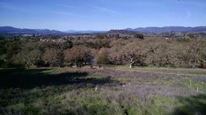 First Vista