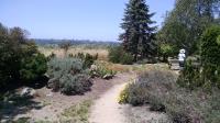 Peace Garden Path