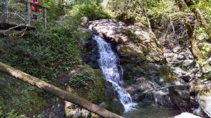Cascade Falls