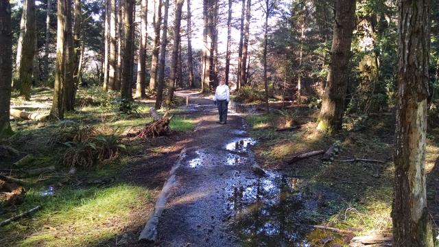 Muddy Mess