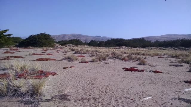 Where's the trail?