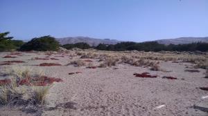 Where's the trail?