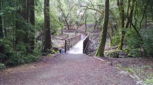 Matanzas Creek