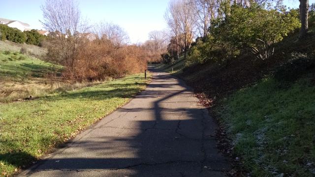 Trail View