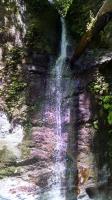 Maple Falls