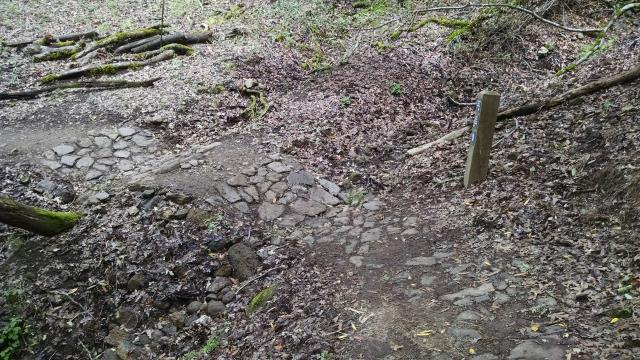 Stream crossing