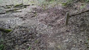 Stream crossing