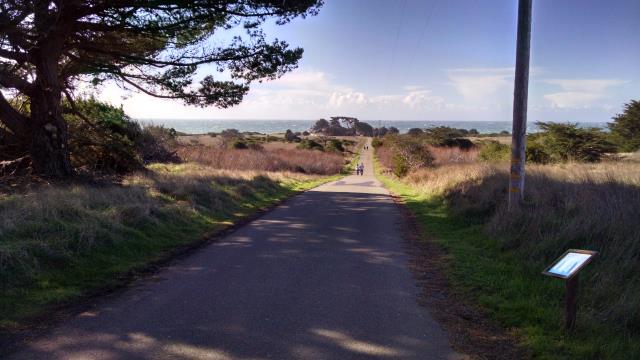 Trail View