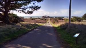 Trail View