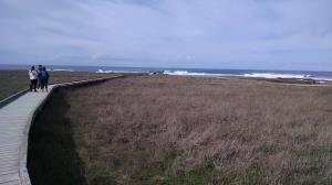 To the sea