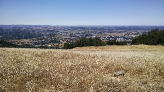 From the top