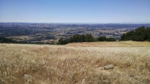 From the top