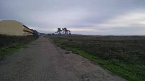 Motels on the coast
