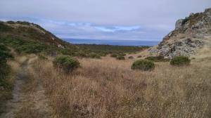 Framed view