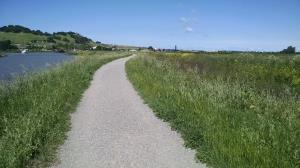Petaluma River