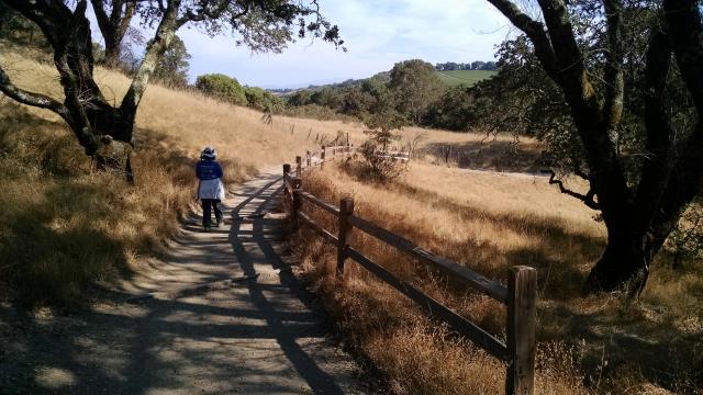 Trails and Vineyards