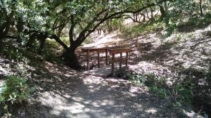 Todd Creek Trail