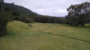 Rolling Terrain