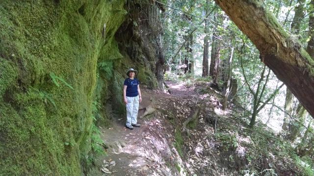 Coppertone on the trail