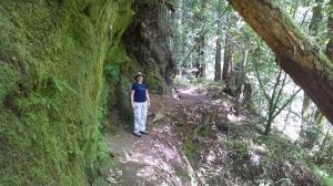 Coppertone on the trail