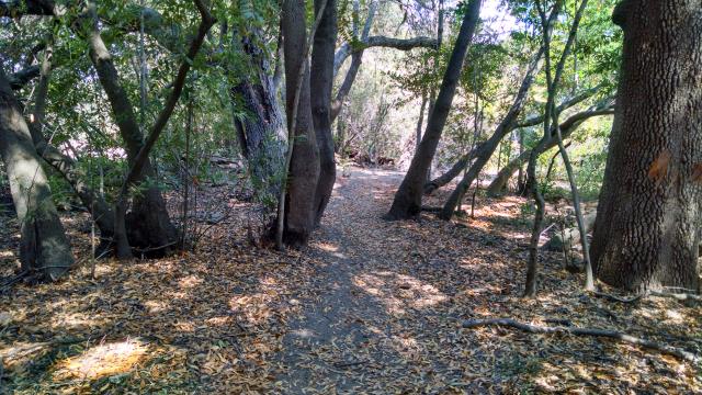 Nature Trail