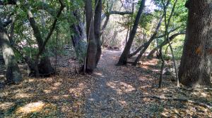 Nature Trail