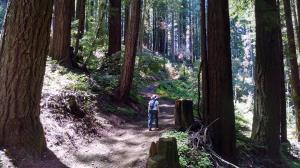 Away from the crowds