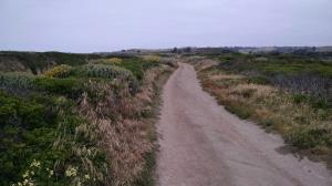 Trail View