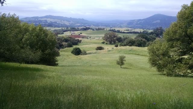 Valley View