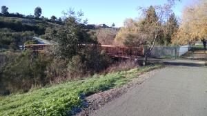 Bridge Crossing