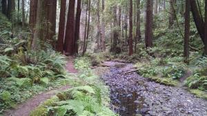 Creek