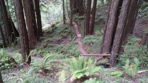 Steep