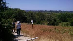 Hilltop Trail