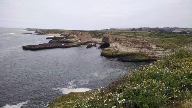 Seals