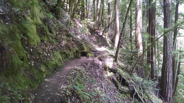 Steep