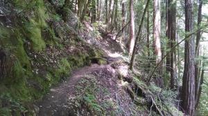 Steep