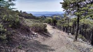 Headed Down