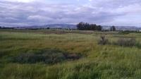 Marshland