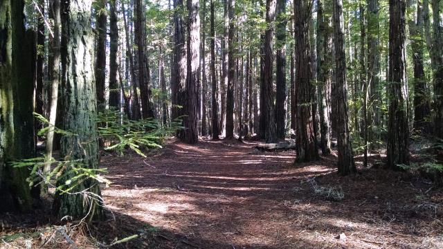 Trail View