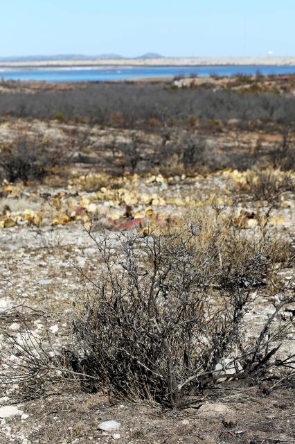 More of the Burned Area