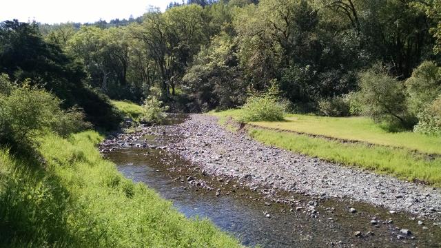 San Anselmo Creek