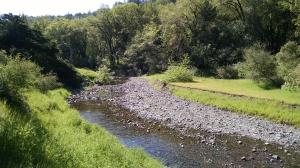 San Anselmo Creek