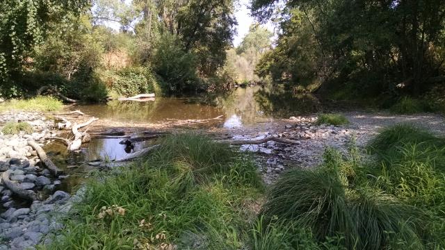 Sonoma Creek
