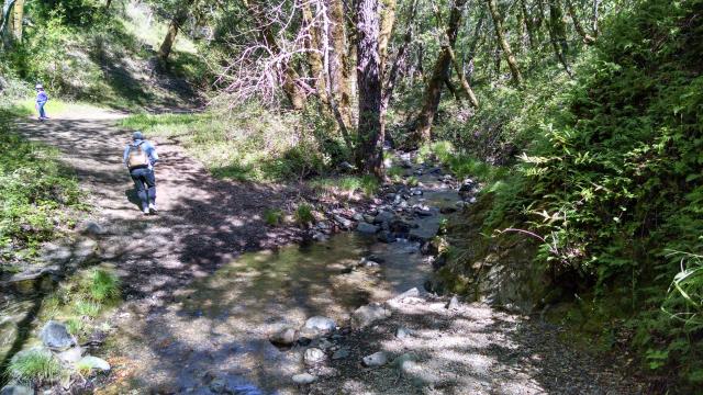 Creek Crossing