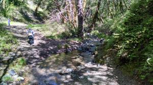 Creek Crossing