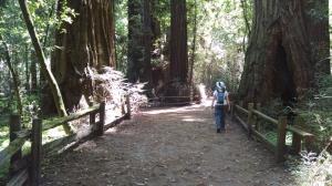 Trail View