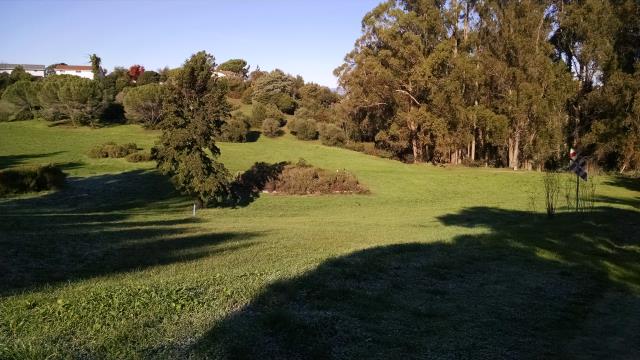 Tranquil Valley